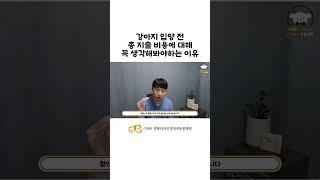 강아지 1마리 평생 키우는데 얼만큼의 비용이 지출될까요?