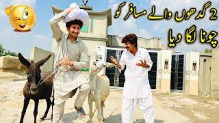 2 Gadhno Waly Musafir Ko Chona Laga DiaFunny Short Film