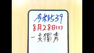 【今彩539】8月28日(三)一支獨秀 二中一【上期中35】 #539 號碼