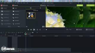 Fix Screen Video not show Camtasia 9 | Freelancer Mustakin