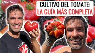 La MEJOR GUÍA DE CULTIVO DE TOMATES que verás en Youtube || en20metros