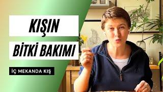 Kışın Bitki Bakımının Püf Noktaları | İç Mekan Kış Bitki Bakımı