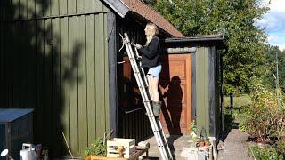 #46 Shed done for autumn, fixing outdoor lights and moving plants | Renovating small house myself