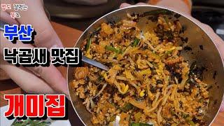 맛집28호 부산 해운대구 낙곱새 맛집 '개미집' Koreanfood Nak-Gop-Sae restaurant in Haeundae-gu, Busan (ENGSUB)