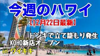 【今週のハワイ１２月２２日最新版】１週間のハワイ情報をまとめてお届けこれを見ればハワイの今がわかる！！