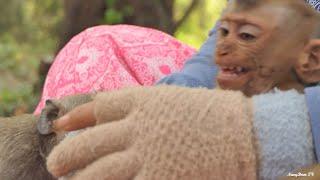 Skinny Baby Royston Shows Aggressive Side to Abandoned Kid When Milk of Hungry!