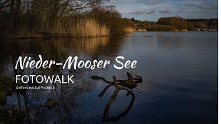 Nieder-Mooser See - Ein Fotowalk im Februar