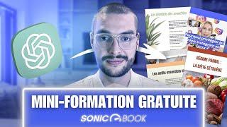 Créez vos e-books en 3 min avec L'IA : Formation SONICBOOK.AI (GRATUITE)