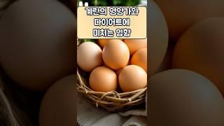 계란의 영양가와 다이어트에 미치는 영상 .#건강관리 #건강식품 #건강정보 #꿀팁 #이슈 #지식