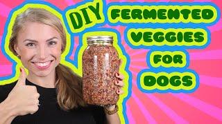 DIY RECIPE FERMENTED VEGETABLES FOR DOGS: Tips and Tricks on How to Add Probiotics to Your Dog Food