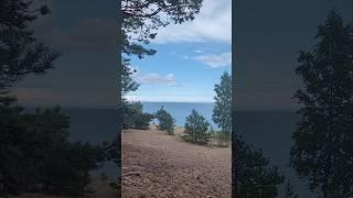 Карелия 2024. Ладожское озеро. Приозерск. Июль 2024 (Часть 1) #карелия #ладожскоеозеро #ладога