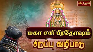 விதியை வெல்லும் சனி மகா பிரதோஷ வழிபாடு | Sani Pradosham பல்வேறு கோயில்களில் இருந்து | Jothitv