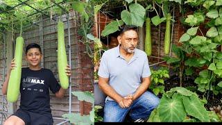 How To Grow Bottle Gourd - Tips For Growing Asian Vegetables