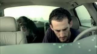 Trunk Monkey Car Commercial