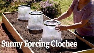 A Closer Look At The Sunny Forcing Cloches | Gardener's Supply