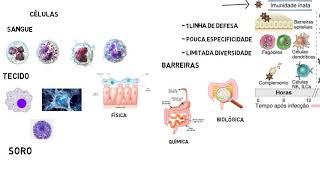 Introdução a Imunologia