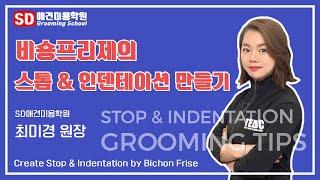 최미경 원장의 비숑프리제 - 스톱 & 인덴테이션 시저링하기