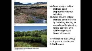 Restoration Ecology