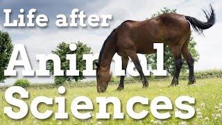 What next after an animal sciences degree?