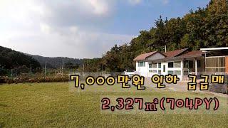 매물번호 488 영천부동산 터넓은 전원주택 정원 밭 과수원 2,327㎡(704PY) 영천전원주택