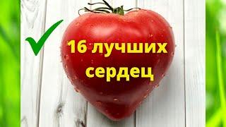 ТОМАТЫ. Самые лучшие сердцевидные сорта томатов. 16 вкусных урожайных сортов.