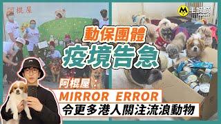 【第五波疫情】動保團體疫境告急 阿棍屋：MIRROR ERROR令更多港人關注流浪動物