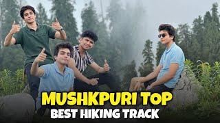 Mushkpuri Top | Best Place For Hiking | MY First Vlog