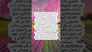 گزارش روزهفتم شهریور#خودشناسی#خداوند#معجزه#تکامل#کارما#تناسخ#خدای درون#دعا#ثروت
