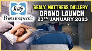 Sealy India Showroom Launch | Sealy Posturepedic Mattress | Hybiz tv Live