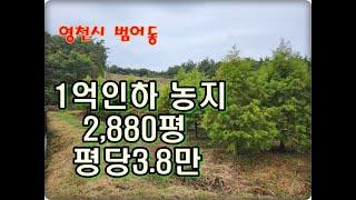 (영천착한부동산)NO.892/영천시내 농지 2,880평/평당3.8만 1억1천만원