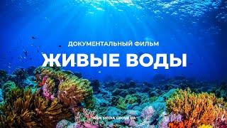 Живые воды. Разумный замысел в океанах Земли. Документальный фильм | Мифы эволюции