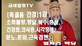 금재힐링TV 족궐음 간경 1강 혈자리 학당