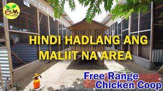 PWEDING GAYAHIN NINYO | FREE RANGE BACKYARD FARM TOUR