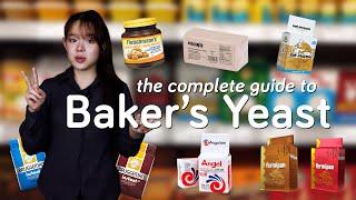 Understand Your Baker's Yeast | Fresh Yeast, Active Dry Yeast, Instant Yeast etc.