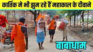 कार्तिक में भी झूम रहे हैं महाकाल के दीवाने | Kawariya Path | Babadham New Update