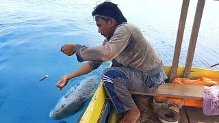 NGERI.!! MANCING DISPOT INI| umpan hidup diturunkan tidak sampai kedasar, ikan besarnya sangat lapar