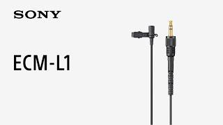 Introducing Lavalier Microphone ECM-L1 | Sony | Accessory