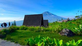 LUKISAN DARI SANG PENCIPTA ..TAMAN TERINDAH DI LERENG SINDORO TEMANGGUNG