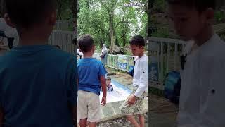 TRIK ZINAN AGAR TIAN BERHENTI BERENANG #viral #komedi #funnyhumor #trending #lucu