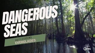 Protecting Florida's Ecosystems from Rising Seas | Battleground Everglades