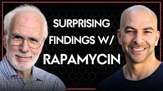 Rapamycin in mice and other effects outside of longevity | Peter Attia & Rich Miller