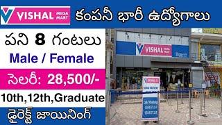 Vishal mega mart బంపర్ జాబ్స్ | Mall job vacancy 2025 | Private company job vacancy 2025