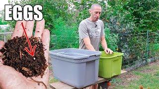 How to Make a Worm Composting Bin, Quick, Simple and Inexpensive Gardening