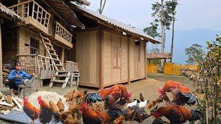 The girl's daily life after completing the wooden house - taking care of chickens and pigs