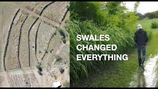 Rainwater Harvesting with Swales. A Permaculture Success Story