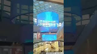 Indoor flexible Transparent led display.