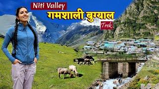 Niti Valley | Gamshali Bugyal Trek | Last Village of India | Niti Village | Gamshali Village