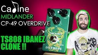 MIDLANDER CP-49 OVERDRIVE - Cheap Affordable pedal by Caline Technology