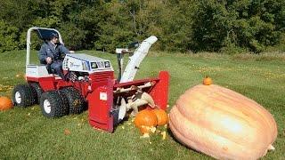 Giant Pumpkin vs Tractor