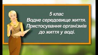 ВОДНЕ СЕРЕДОВИЩЕ ЖИТТЯ. ПРИСТОСУВАННЯ ОРГАНІЗМІВ ДО ЖИТТЯ У ВОДІ. Природознавство